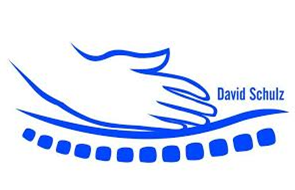 David Schulz - Manuelle Therapie Logo